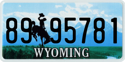 WY license plate 8995781