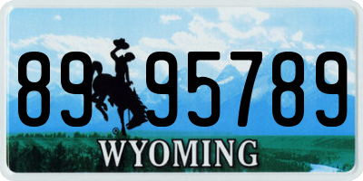 WY license plate 8995789