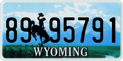 WY license plate 8995791