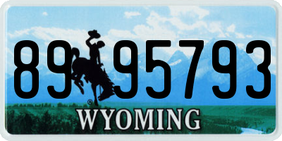 WY license plate 8995793