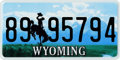 WY license plate 8995794