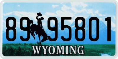 WY license plate 8995801