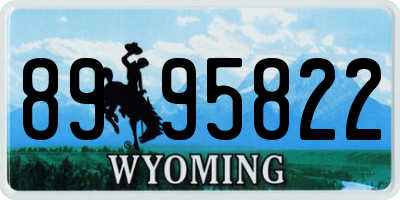 WY license plate 8995822