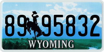 WY license plate 8995832