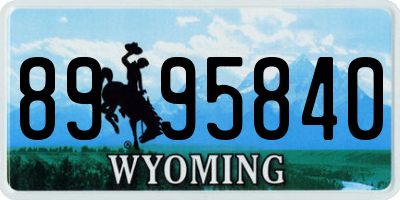 WY license plate 8995840