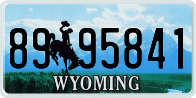 WY license plate 8995841