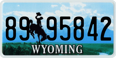 WY license plate 8995842