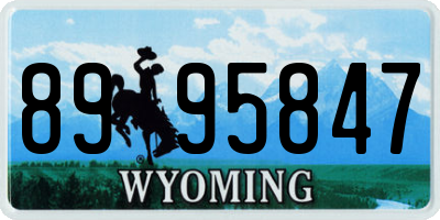 WY license plate 8995847