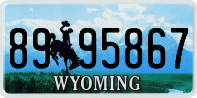 WY license plate 8995867
