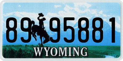 WY license plate 8995881