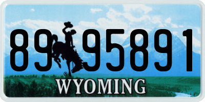 WY license plate 8995891