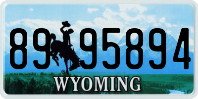 WY license plate 8995894