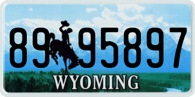 WY license plate 8995897
