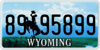 WY license plate 8995899