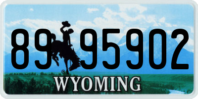 WY license plate 8995902
