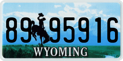 WY license plate 8995916