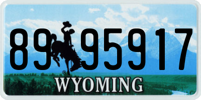 WY license plate 8995917