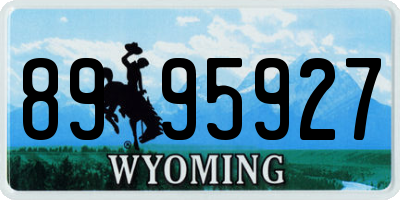 WY license plate 8995927