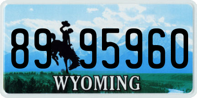 WY license plate 8995960