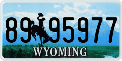 WY license plate 8995977