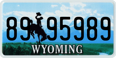 WY license plate 8995989