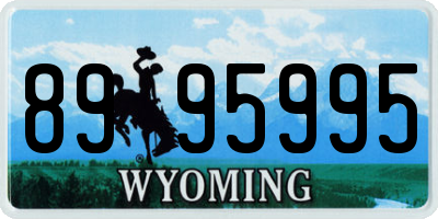 WY license plate 8995995
