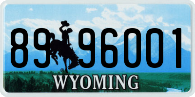 WY license plate 8996001