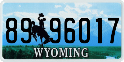 WY license plate 8996017