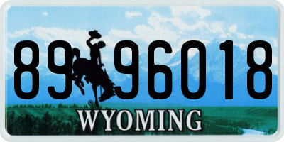 WY license plate 8996018