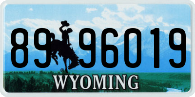 WY license plate 8996019
