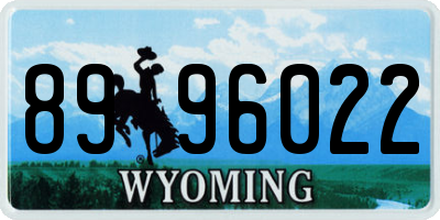 WY license plate 8996022