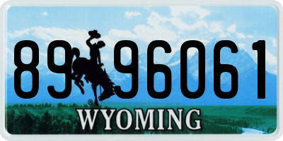 WY license plate 8996061
