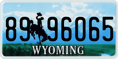 WY license plate 8996065