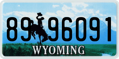 WY license plate 8996091