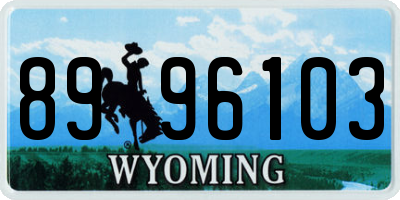 WY license plate 8996103