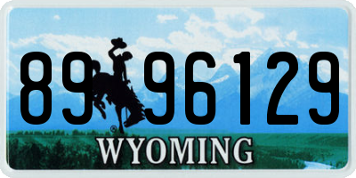 WY license plate 8996129
