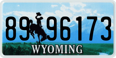 WY license plate 8996173