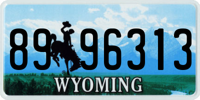 WY license plate 8996313