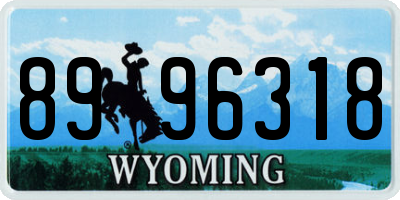 WY license plate 8996318