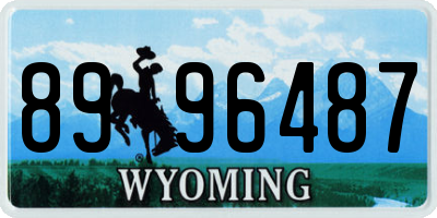 WY license plate 8996487