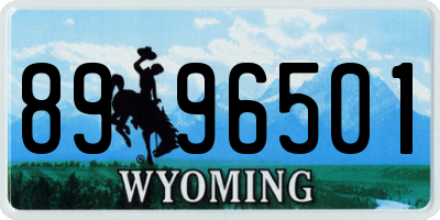 WY license plate 8996501