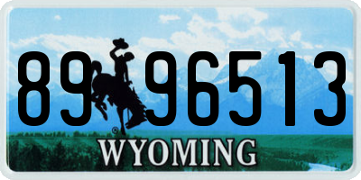 WY license plate 8996513