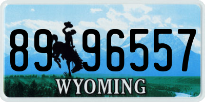 WY license plate 8996557