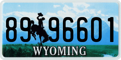 WY license plate 8996601