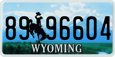WY license plate 8996604