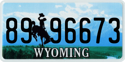 WY license plate 8996673