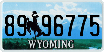 WY license plate 8996775