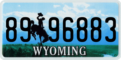 WY license plate 8996883