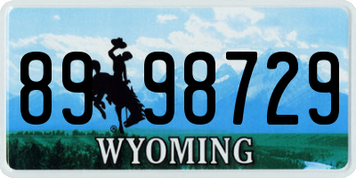 WY license plate 8998729