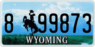 WY license plate 899873